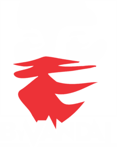 By Vandal logo